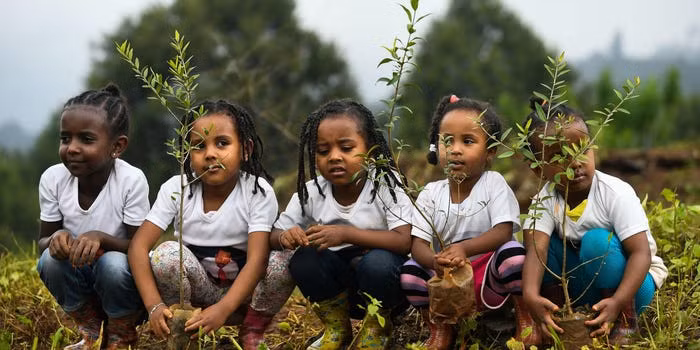 Hickel nói với Insider rằng những gì đang xảy ra ở Ethiopia là "một phần của nhiều điều sắp xảy ra." Ông cho rằng nếu không có những nỗ lực triệt để nhằm giảm lượng khí phát thải toàn cầu, vấn đề sẽ trở nên tồi tệ hơn.