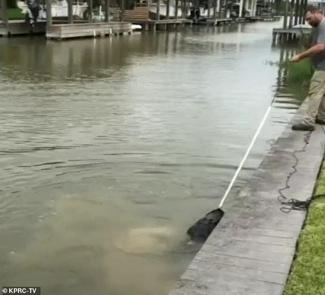 Cha dung cam giai cuu con gai 4 tuoi truoc ham ca sau-Hinh-7