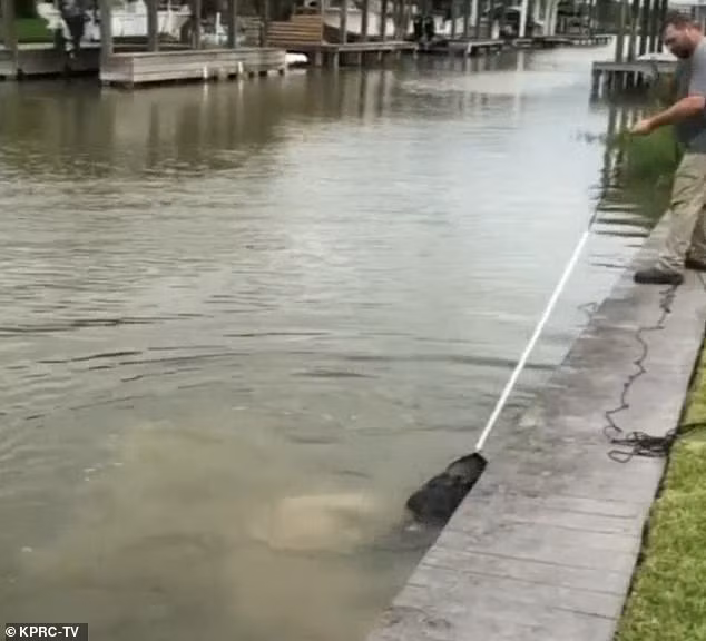 Cha dung cam giai cuu con gai 4 tuoi truoc ham ca sau-Hinh-7