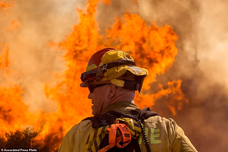 California chim trong bien lua vi chay rung, ca nghin nguoi voi so tan-Hinh-7