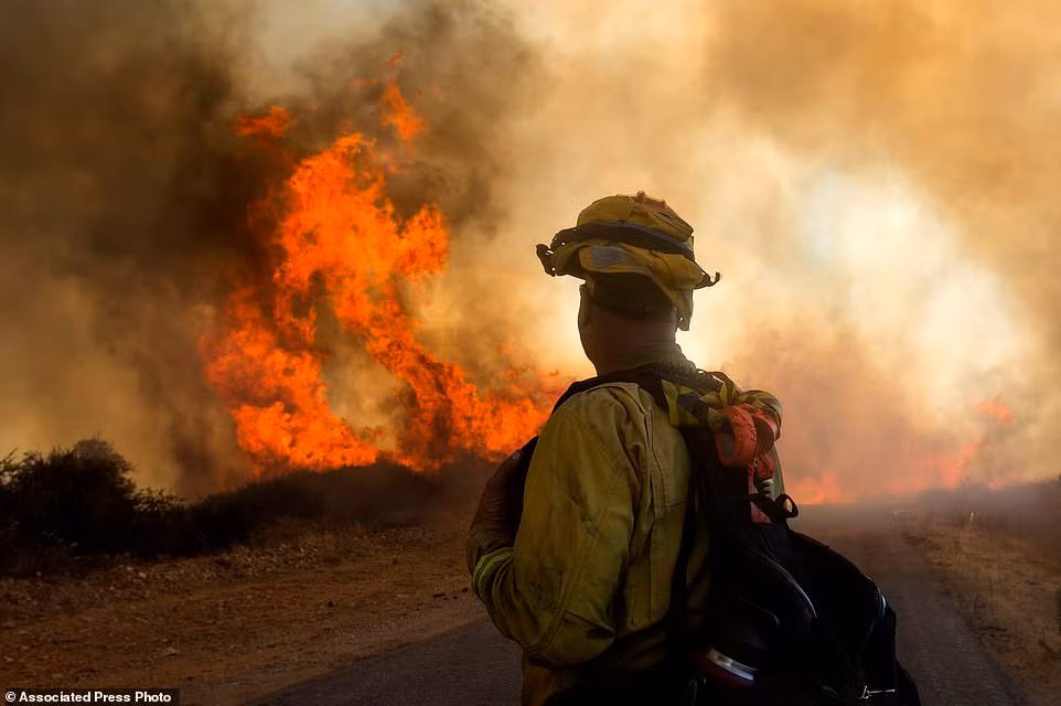 California chim trong bien lua vi chay rung, ca nghin nguoi voi so tan-Hinh-4