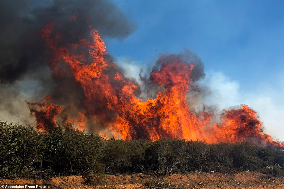 Cảnh cháy rừng dữ dội.