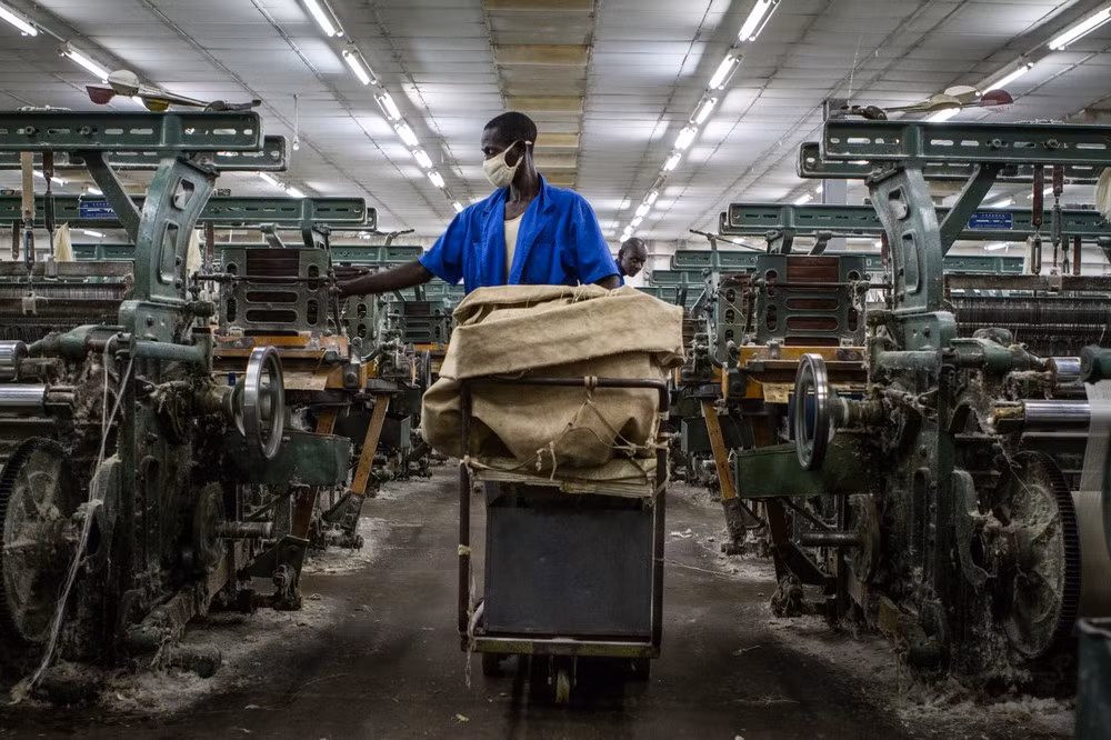 Mali là một trong những quốc gia nghèo nhất thế giới. Tỷ lệ thất nghiệp ở Mali là 30%. 80% dân số nước này làm nông nghiệp và 20% làm việc trong lĩnh vực công nghiệp, dịch vụ. Ảnh: AJ.