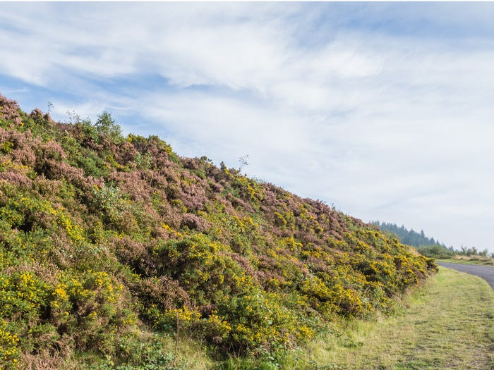 Deri là một ngôi làng ở xứ Wales với rất nhiều nét "quyến rũ" của một thị trấn nhỏ.