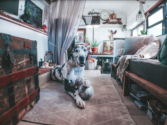 Gia đình Towny còn nuôi một chú chó, tên Apollo.