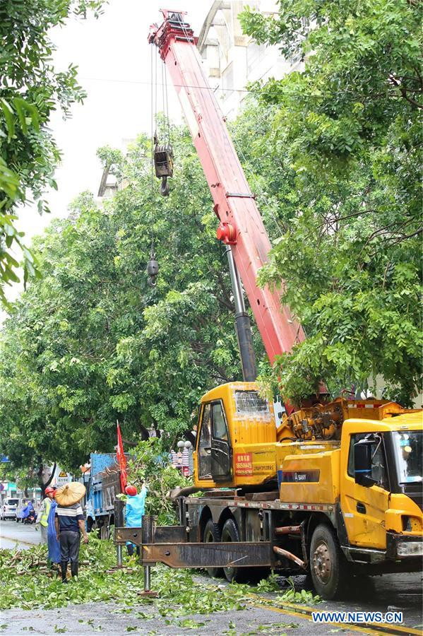 Các công nhân dọn cây đổ trên đường phố Phúc Kiến sau khi bão đi qua. Mời độc giả xem thêm video: Trung Quốc trước nguy cơ từ đập Tam Hiệp (Nguồn video: VTC Now)