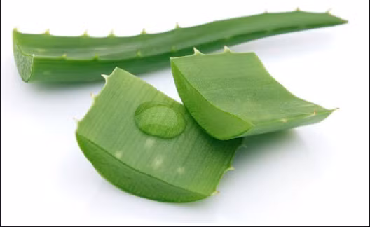 Meo chua bong hieu qua voi nhung nguyen lieu tu nhien de tim-Hinh-3