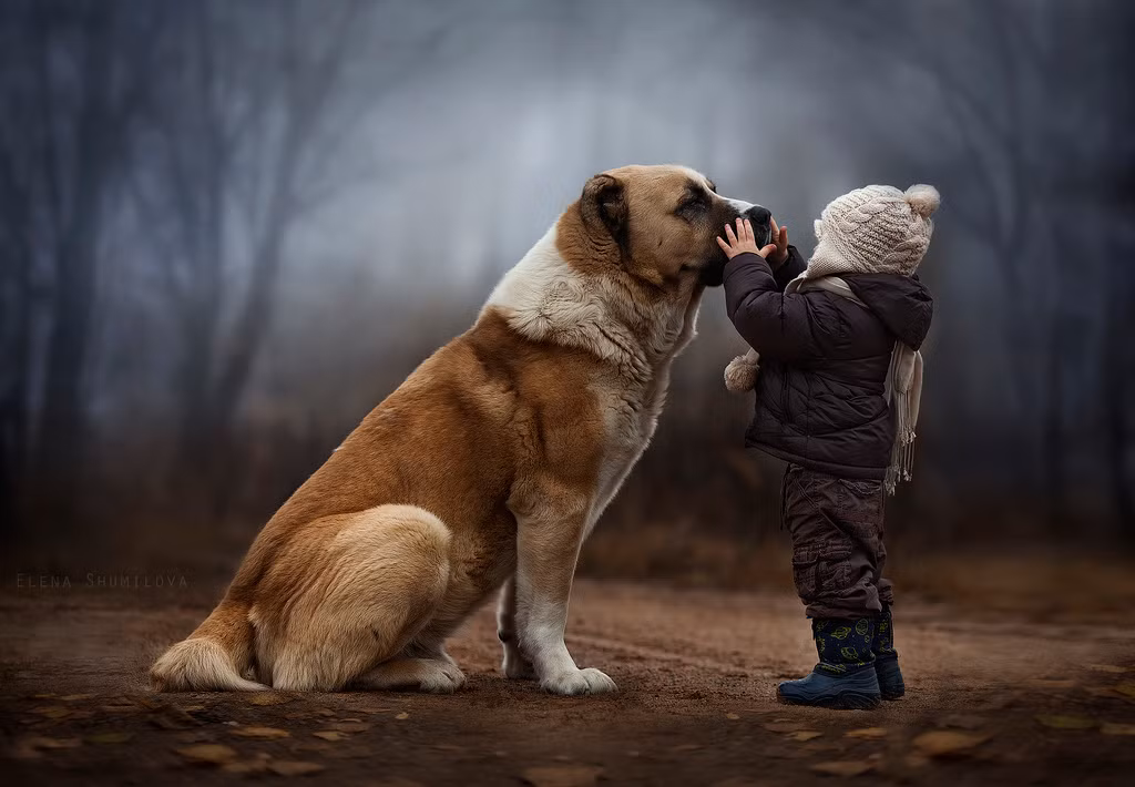 Một bức ảnh không tiêu đề của tác giả Elena Shumilova.
