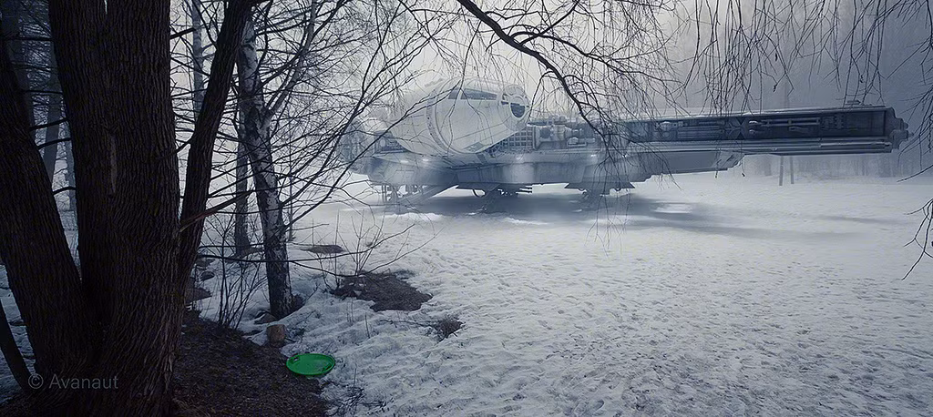 Bức ảnh “Chim ưng ở sân sau” của Avanaut.