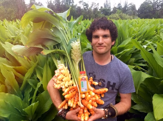 Đây chính là cây hoa và củ nghệ.