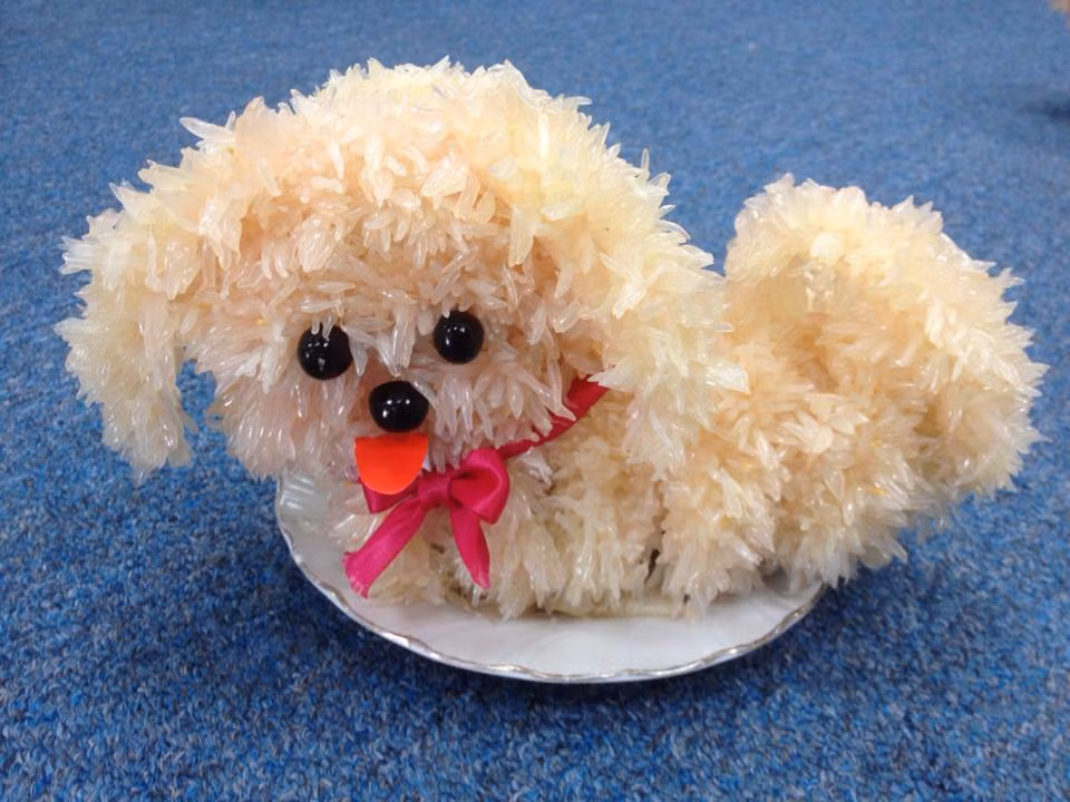 Trong mâm cỗ Trung Thu hiện nay, được chú ý nhất là chú chó được làm bằng bưởi. Chú chó bằng bưởi trông vô cùng đáng yêu và giống y như thật sẽ làm cho mâm cỗ trở nên nổi bật.