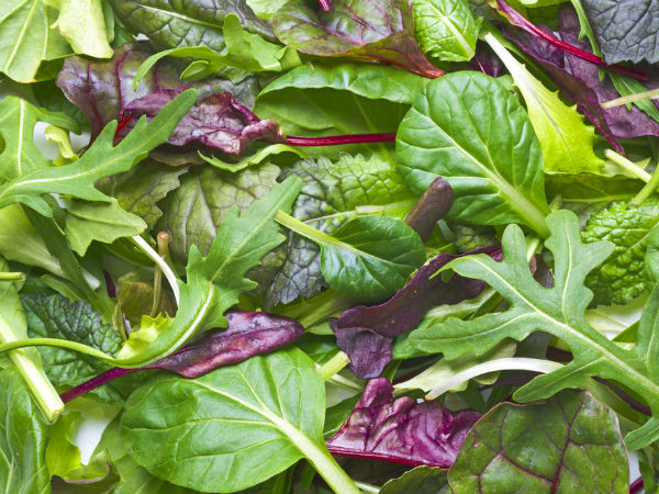 Các loại rau xanh lá như cải bó xôi, rau diếp, cải xanh... có thể bảo vệ gan khỏi bị oxy hóa và các bệnh khác.