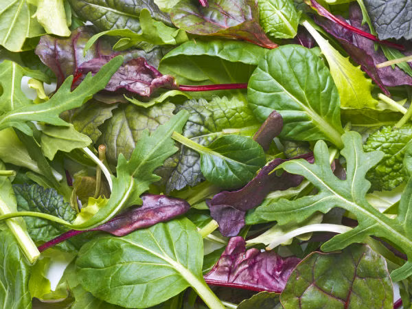 Các loại rau xanh lá như cải bó xôi, rau diếp, cải xanh... có thể bảo vệ gan khỏi bị oxy hóa và các bệnh khác.