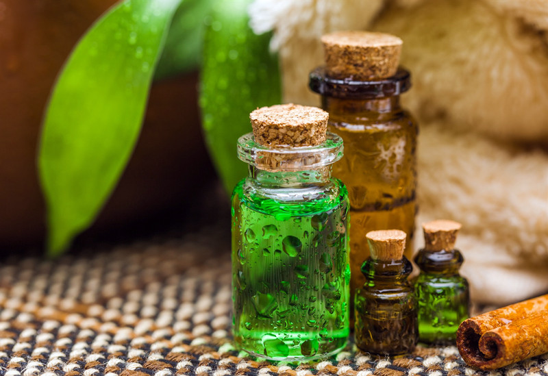 Dầu tràm trà cũng có đặc tính kháng khuẩn mạnh mẽ. Hợp chất như α-terpine, terpinen-4-ol và α-pinene trong loại dầu này có khả năng trị mụn hiệu quả. Nên sử dụng khăn nhỏ có tẩm dầu tràm trà để thoa vào khu vực mụn nhọt. Bôi hai lần một ngày để nhanh chóng loại bỏ mụn.