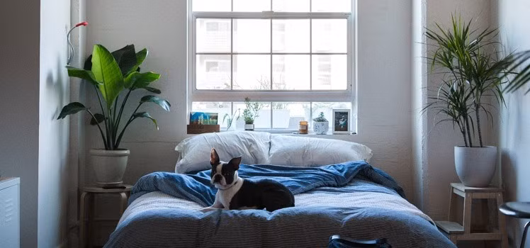 Điều chỉnh nhiệt độ phòng ngủ lạnh hơn: Theo nghiên cứu, sau 4 tuần ngủ trong một căn phòng mát mẻ, đàn ông đã loại bỏ một lượng lớn mỡ trắng trên bụng của họ. 