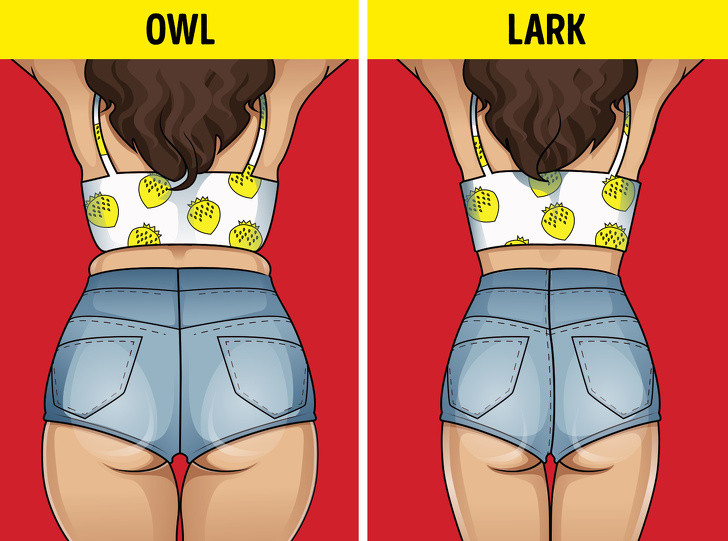 Thức dậy sớm hơn: Các nhà khoa học đã phát hiện ra rằng những người ngủ 8-9 giờ và thức dậy sau 10:45 sáng, ăn nhiều hơn 250 calo so với những người dậy sớm. Ngoài ra, họ thường thèm ăn nhiều thức ăn mặn, ngọt và béo hơn.