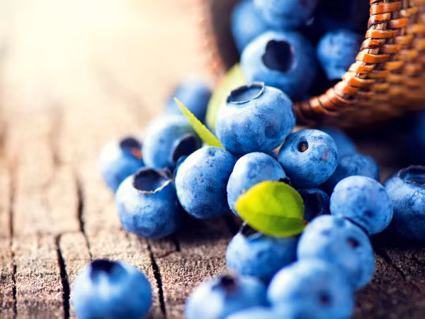 Quả việt quất rất giàu chất chống oxy hoá và do đó, giúp giảm viêm trong cơ thể và tốt cho người ăn kiêng.