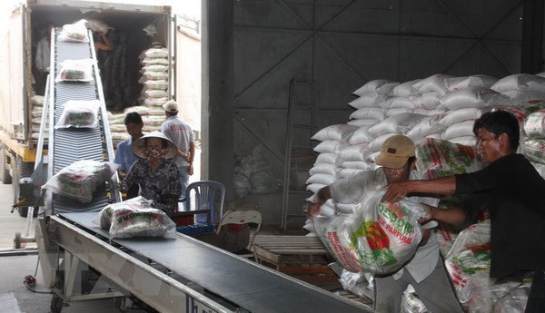 Vận chuyển gạo xuất khẩu tại Xí nghiệp Chế biến lương thực cao cấp Tân Túc (huyện Bình Chánh, TP.HCM). (Ảnh: Đình Huệ/TTXVN).