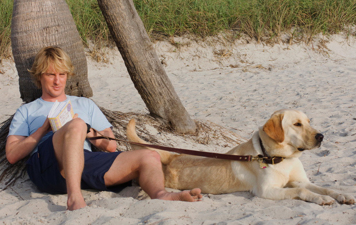 Thú cưng: Theo các nhà khoa học, những người đàn ông nuôi thú cưng có vẻ hấp dẫn hơn với người phụ nữ. Điều này có thể được giải thích bởi thực tế người nuôi một con vật cưng có thể là một người đàn ông nghiêm túc và sẵn sàng cho mối quan hệ lâu dài.