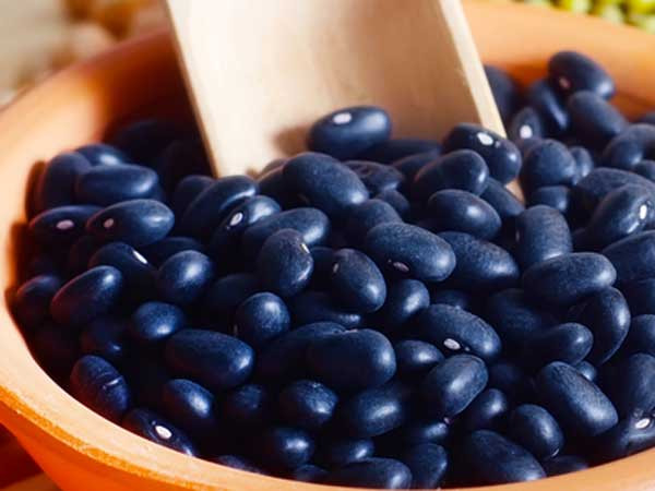 Không chỉ chứa chất xơ hòa tan và không tan, đậu đen cũng chứa một lượng lớn protein giúp tăng cường sự trao đổi chất bằng cách giúp cơ thể tăng khối lượng cơ.