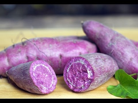 Ngăn ngừa bệnh tiết niệu: Súp lơ tím, cà rốt tím và bắp cải tím hoặc các loại trái cây có màu tím khác có thể chống lại các bệnh tiết niệu. Anthocyanin có thể ngăn ngừa các vết loét và viêm do H. pylori gây ra, vi khuẩn gây loét dạ dày và các bệnh tiết niệu (u lympho bàng quang).