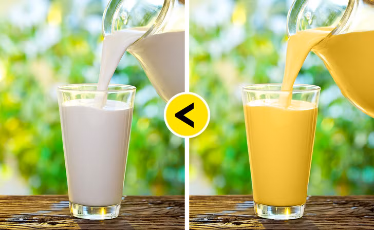 Sữa vàng, cà phê, kem và trà vàng trở thành xu hướng ăn uống năm 2018. Bột nghệ sẽ làm cho các thức uống và thực phẩm có màu vàng. Nghệ đã được khoa học chứng minh là rất tốt cho sức khỏe.