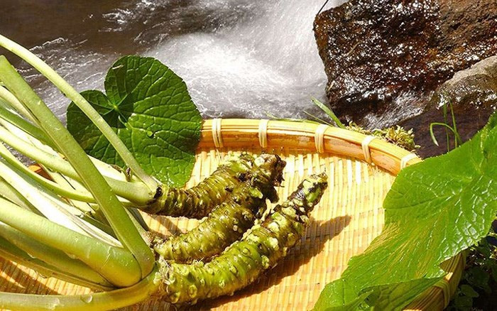 Lưu thông máu: Mù tạt cũng có thể giúp cải thiện tuần hoàn máu. Nó ngăn ngừa sự xuất hiện của cục máu đông và ngăn ngừa đột quỵ. Lợi ích tuần hoàn của nó giúp giữ cho làn da mềm mại.