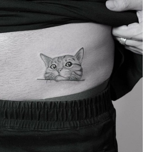 Chú mèo dễ thương hiện diện trên góc trái bụng.