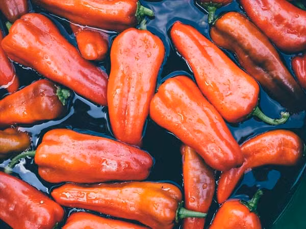 Hợp chất capsaicin trong ớt cay sẽ làm trầm trọng thêm tình trạng tiêu chảy cũng như gây kích ứng lớp lót của ruột. Nó cũng gây ra tình trạng đầy bụng và có thể gây áp lực quá mức đối với hệ thống tiêu hóa yếu của bạn. Ảnh: Boldsky.