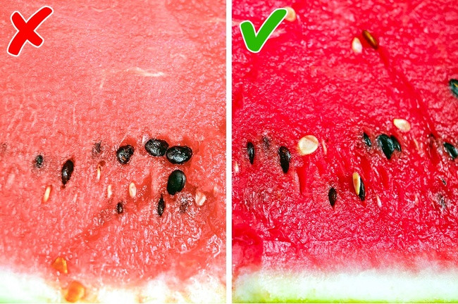Dưa hấu còn tươi luôn phải có màu hồng đỏ hoặc đỏ đậm. Khi nó chuyển màu hồng nhạt hoặc trắng hồng thì có nghĩa quả dưa đã hỏng.