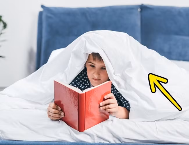 So với gối, chăn có “tuổi thọ" lâu hơn là 7 năm. Nếu giặt và phơi khô thường xuyên, bạn có thể kéo dài tuổi thọ của chăn lên đến 10 năm.