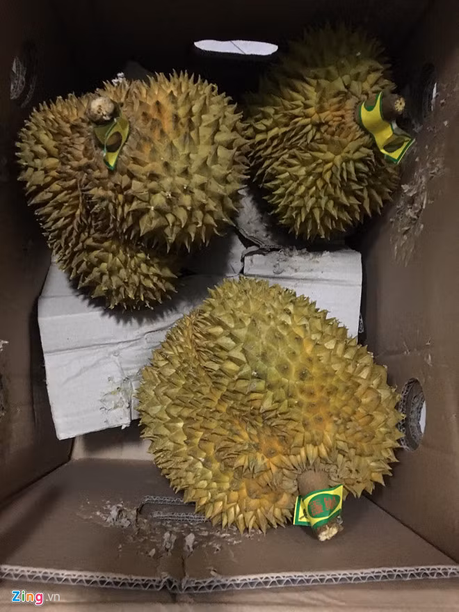 Sầu riêng được mua từ cuộc giải cứu trưa 25/5. Ảnh: HĐ.