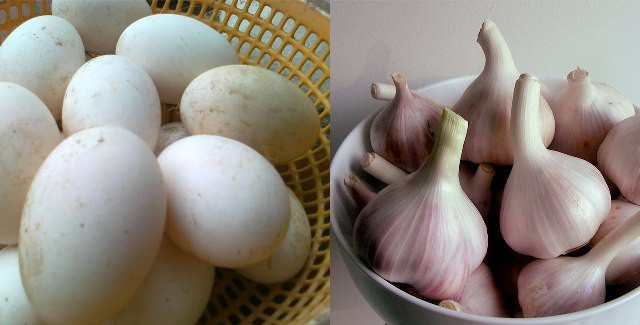  Tỏi tránh kết hợp với trứng bởi có thể biến thành chất độc gây hại cho cơ thể. Khi tỏi được chiên quá cháy sém sẽ tạo ra một chất rất độc, vì vậy chúng ta không nên ăn trứng cùng với tỏi.