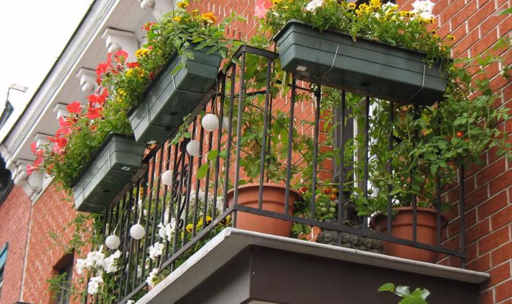 Ảnh: Shuttestock. Ảnh: Shuttestock.