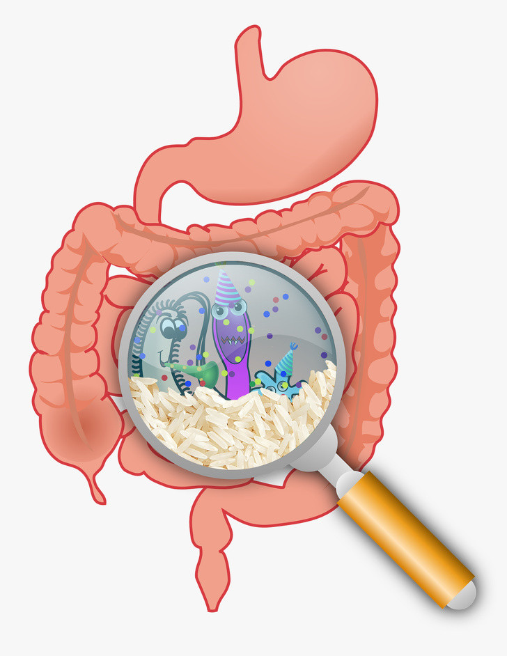 Cùng với khoai tây, yến mạch và các loại thực phẩm có tinh bột khác, cơm có tác dụng nhuận tràng và làm dịu dạ dày.