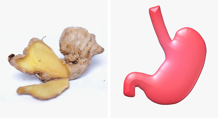 Gừng thúc đẩy lưu thông máu và hỗ trợ tiêu hóa tốt hơn. Uống nước gừng ngăn ngừa đầy bụng và thư giãn các cơ của đường ruột, giúp giảm đau dạ dày.