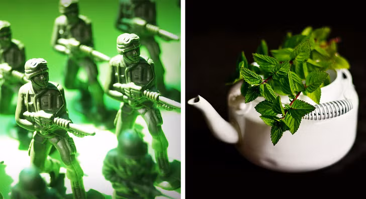 Bạc hà tươi hay tinh dầu bạc hà là một chất chống co thắt rất mạnh giúp làm dịu khó chịu dạ dày.