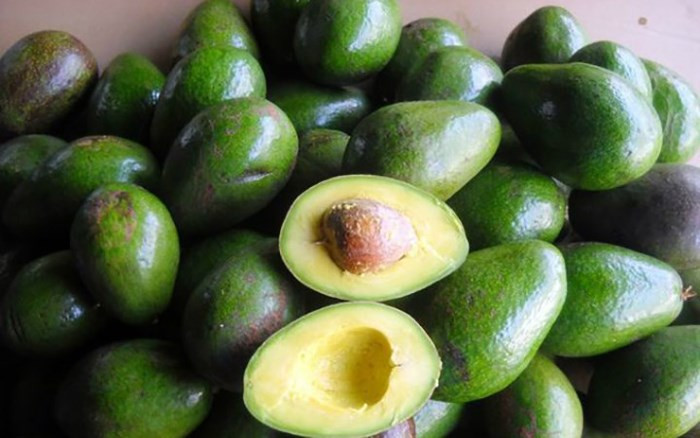 16. Quả bơ: Chất béo bão hòa đơn trong bơ có khả năng chống lại cholesterol đến hai lần. Nó có thể tiêu diệt cholesterol toàn phần và cholesterol xấu.