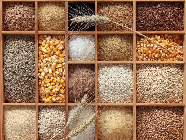 Đảm bảo chế độ ăn uống của bạn có thêm các loại ngũ cốc nguyên hạt như bột yến mạch, lúa mạch, gạo lức, kê... Hàm lượng chất xơ trong ngũ cốc nguyên hạt có thể giúp làm giảm lượng đường trong máu một cách tự nhiên.