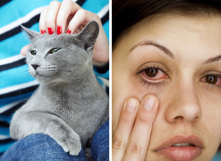 Nhiều người thích ngủ với thú cưng của mình nhưng đó không phải là một điều tốt bởi mô hình giấc ngủ của động vật khác với cách con người ngủ. Ảnh: BS.