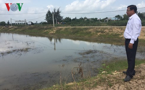 Hàng chục ao nuôi tôm như thế này đang bị bỏ hoang.