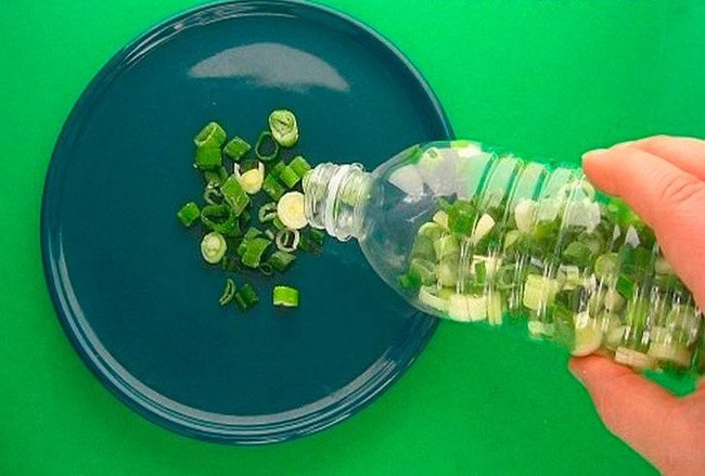 Bạn có thể thái hành lá và cho vào một chai nhựa rồi cấp đông trong tủ lạnh. Như vậy, chúng sẽ tươi nguyên như khi bạn mới mua về.