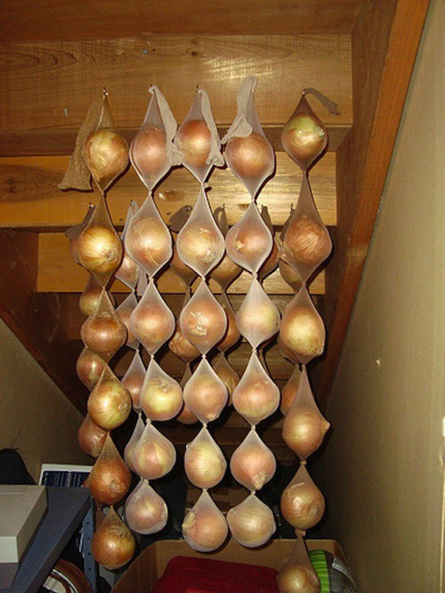Lưu trữ từng củ hành tây trong các túi lưới rồi treo lên cao, bạn có thể để được tới 9 tháng.