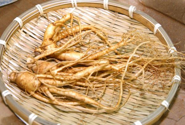 An nhan sam kieu nay, dung bao nhieu cung vo tac dung-Hinh-2