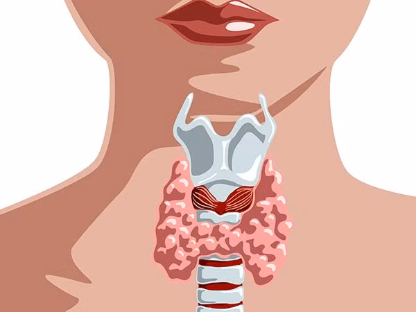 Đậu phụ được làm từ đậu nành. Đậu nành lại chứa hợp chất gây hại gọi là genistein isoflavone, có thể ngăn không cho các tuyến giáp sản sinh đủ hormone, do đó gây ra chứng suy giáp ở những người ăn đậu hũ thường xuyên.