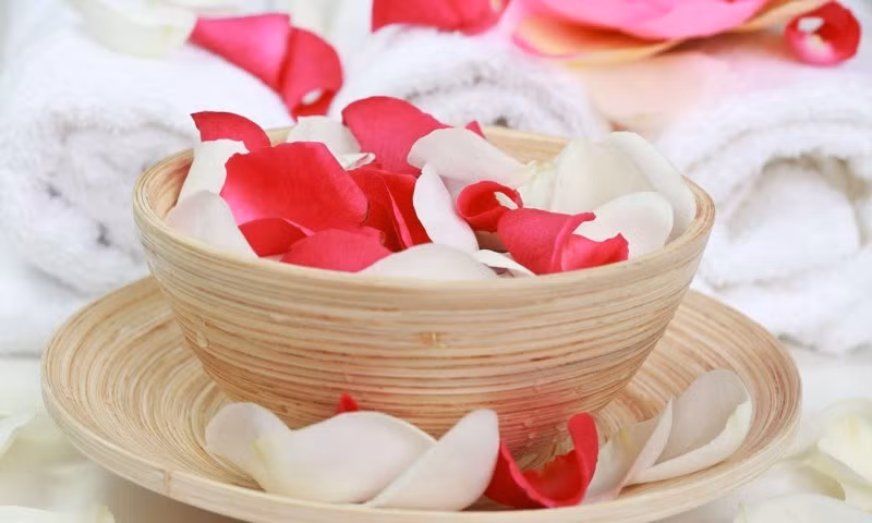 Khi tiếp xúc với nước nóng, tinh chất từ cánh hoa sẽ trôi ra nước và thấm vào da thông qua việc ngâm mình thư giãn.