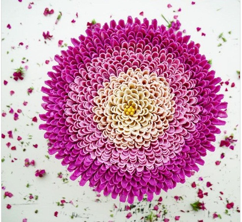 Thoạt nhìn, chắc bạn sẽ tưởng đây là một bông hoa đang bung nở. Thực chất đây lại là một chiếc bánh được làm hết sức công phu, tỉ mỉ.