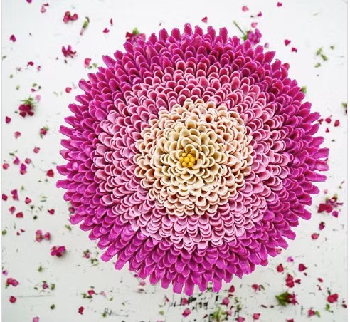 Thoạt nhìn, chắc bạn sẽ tưởng đây là một bông hoa đang bung nở. Thực chất đây lại là một chiếc bánh được làm hết sức công phu, tỉ mỉ.