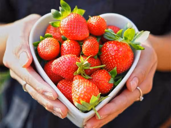 Hàm lượng vitamin C cao trong dâu tây giúp cân bằng độ ẩm, làm sạch da, đồng thời hạn chế và ngăn ngừa mụn. Vì vậy, dâu tây thường được sử dụng để đối phó với các vấn đề về da nhờn.