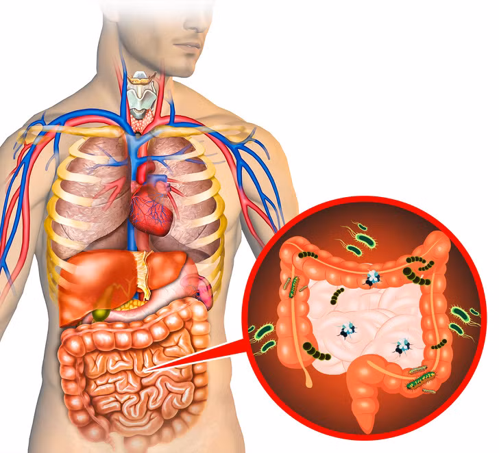 Mùi cơ thể khó chịu: Nếu bạn liên tục cảm thấy hơi thở hôi, khí và phân có mùi hôi, đây có thể là dấu hiệu cho thấy gan và đại tràng đang chứa chất độc hại cao. Do vậy, bạn cần giải độc cơ thể ngay.